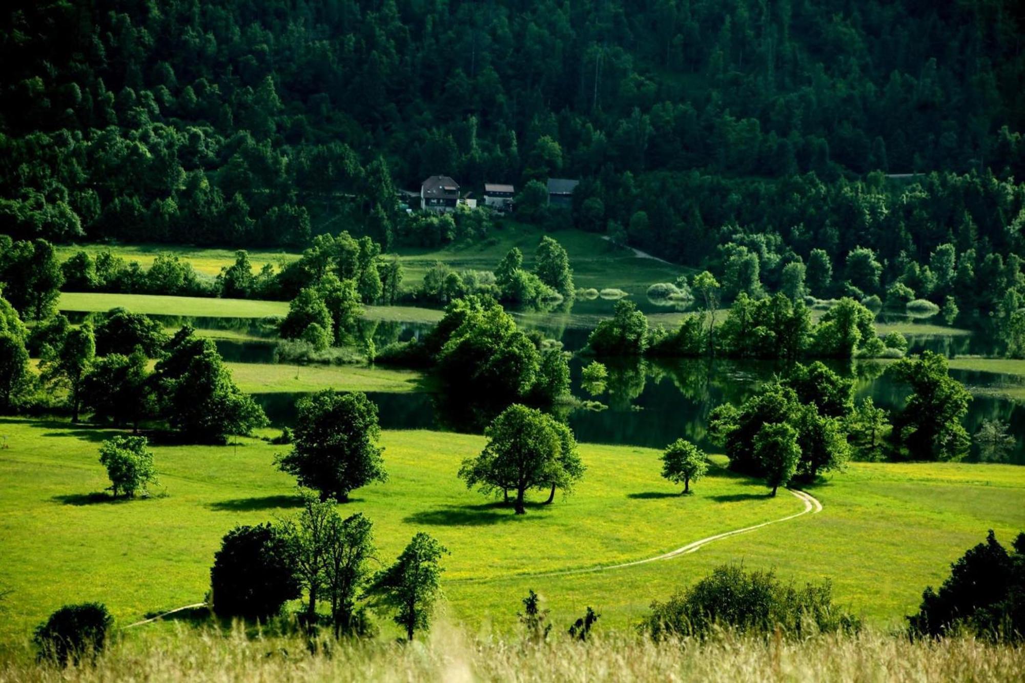 Apartment Sefic Planina  Экстерьер фото