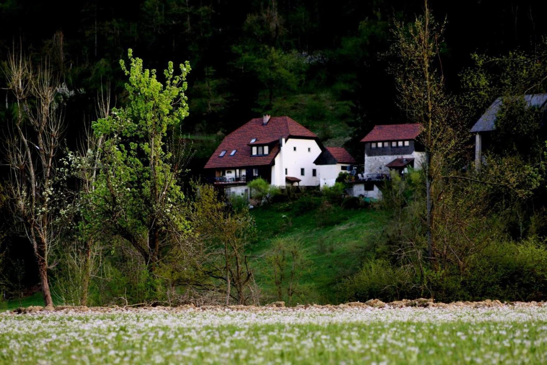 Apartment Sefic Planina  Экстерьер фото