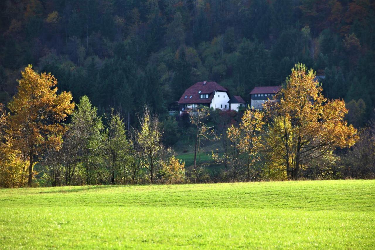 Apartment Sefic Planina  Экстерьер фото